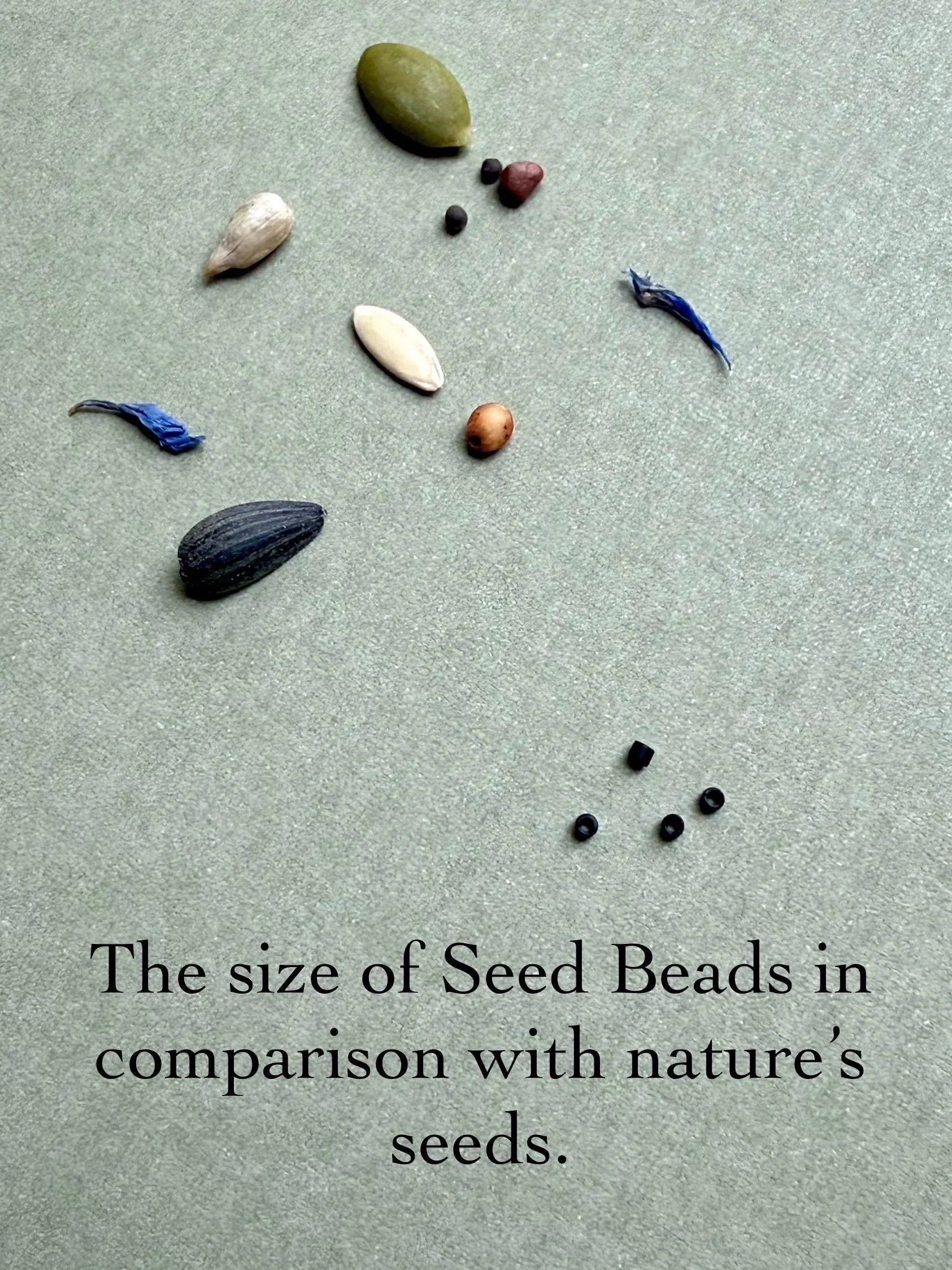 Glass seed beads and various natural seeds on textured surface showing size comparison, Seed and Soul artistry jewelry.