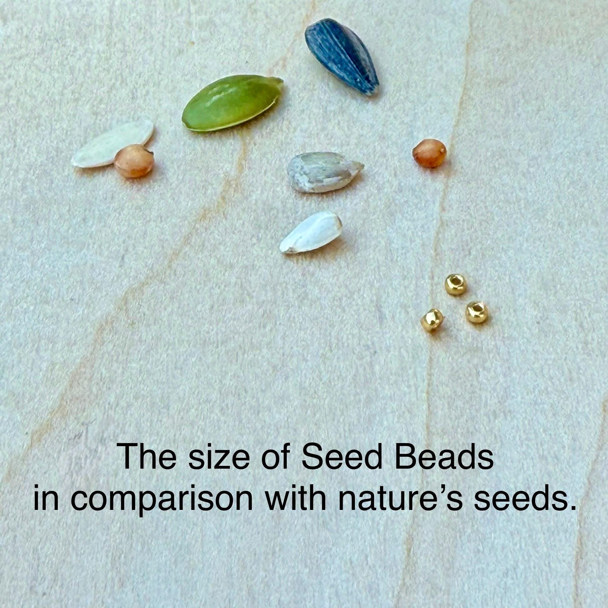Seed and nature seeds comparison, glass seed beads jewelry handmade in the USA on wood.