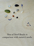 Seed and Soul glass seed bead jewelry beads beside natural seeds on wood background for size comparison