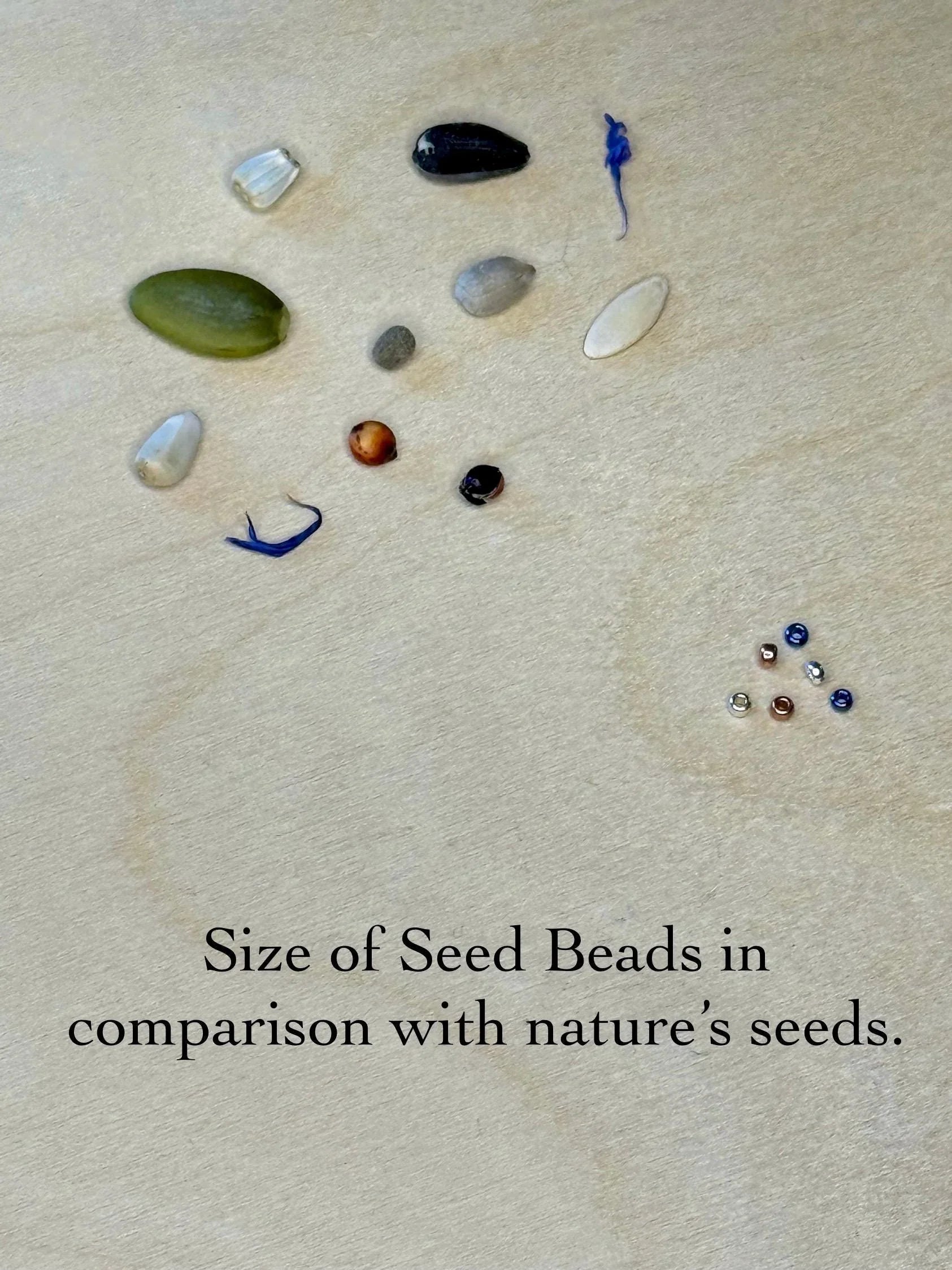 Seed and Soul glass seed bead jewelry beads beside natural seeds on wood background for size comparison