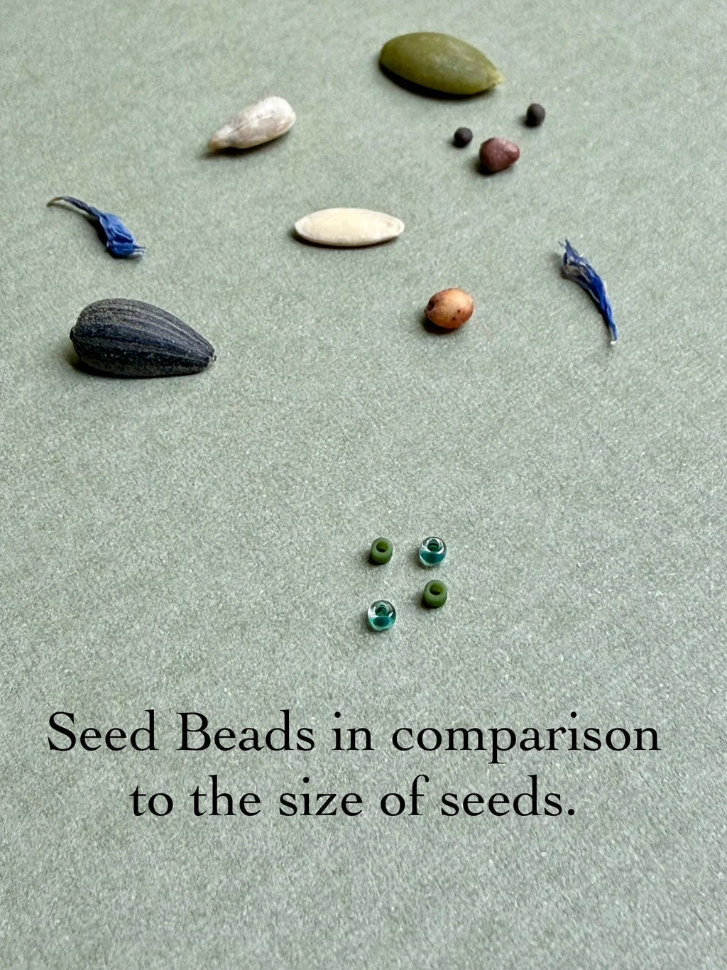 Glass seed beads and assorted real seeds displayed on textured surface for size comparison