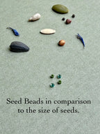 Glass seed beads and assorted real seeds displayed on textured surface for size comparison