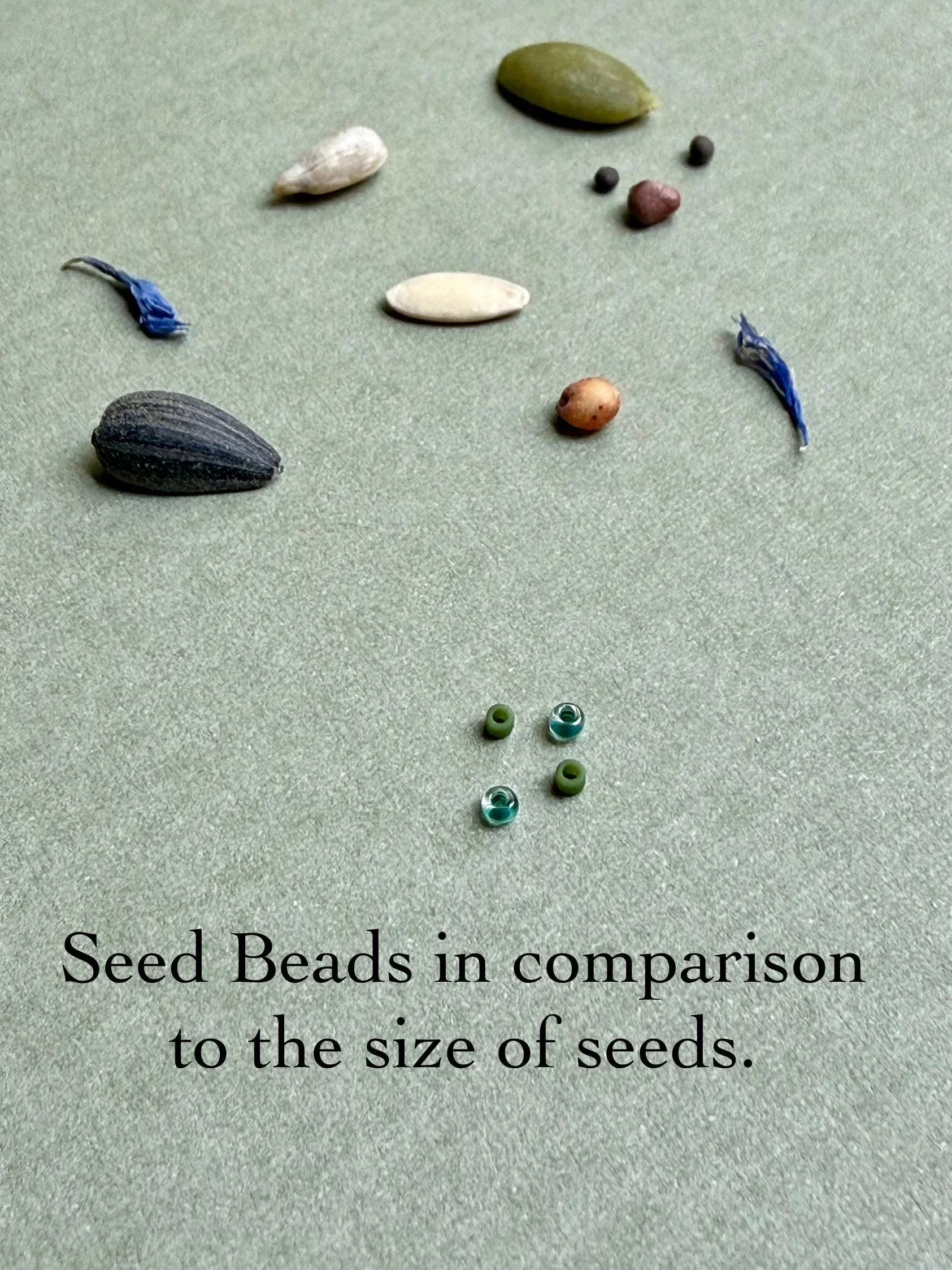 Glass seed beads and assorted real seeds displayed on textured surface for size comparison