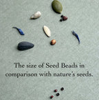 Glass seed beads compared to various natural seeds on a green background, Seed and Soul artistry