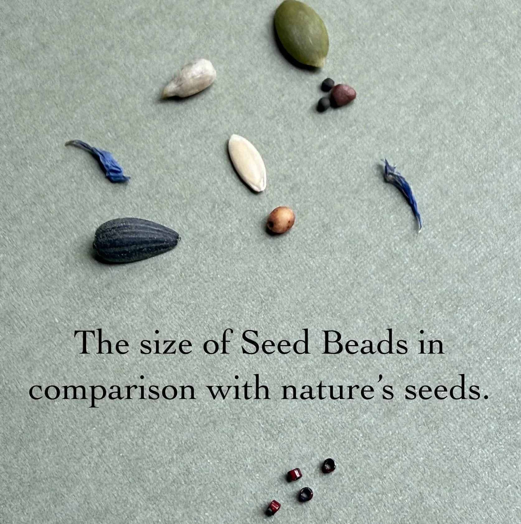 Glass seed beads compared to various natural seeds on a green background, Seed and Soul artistry