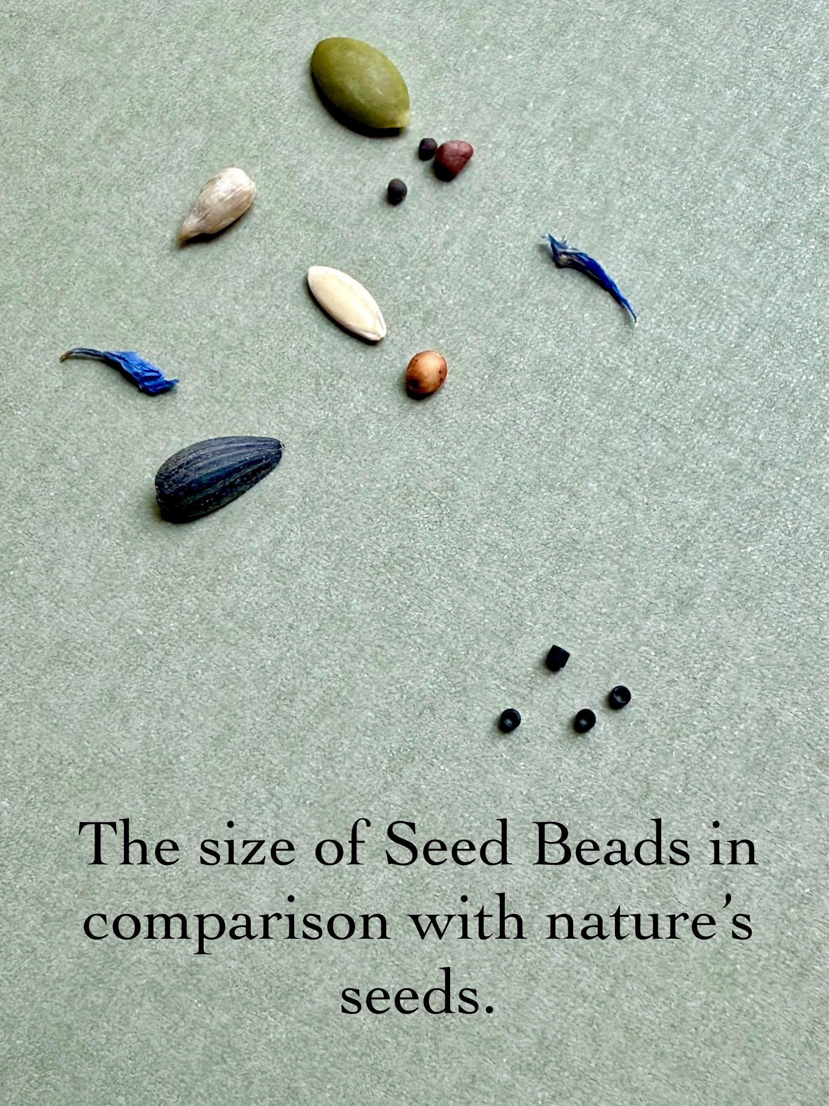 Seed and Soul artistry glass seed beads shown beside natural seeds for size comparison on a neutral background.
