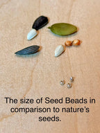 Glass seed beads shown next to various natural seeds on wood, highlighting size comparison.