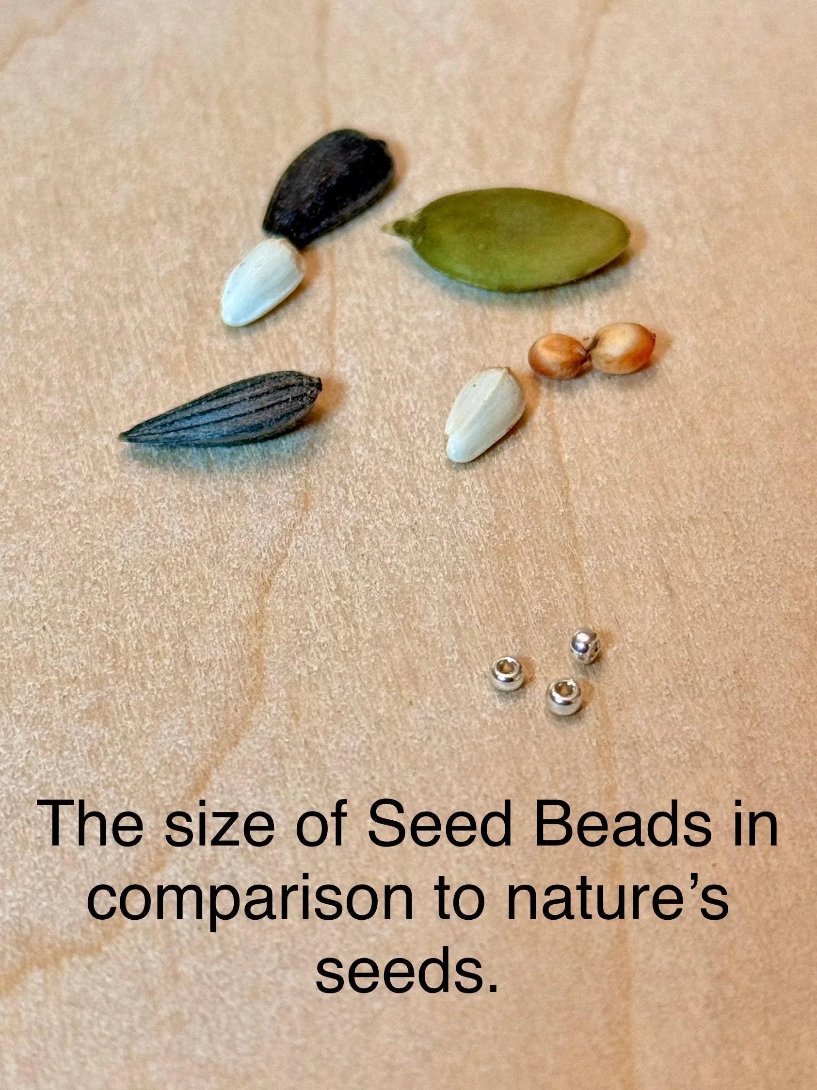 Glass seed beads shown next to various natural seeds on wood, highlighting size comparison.