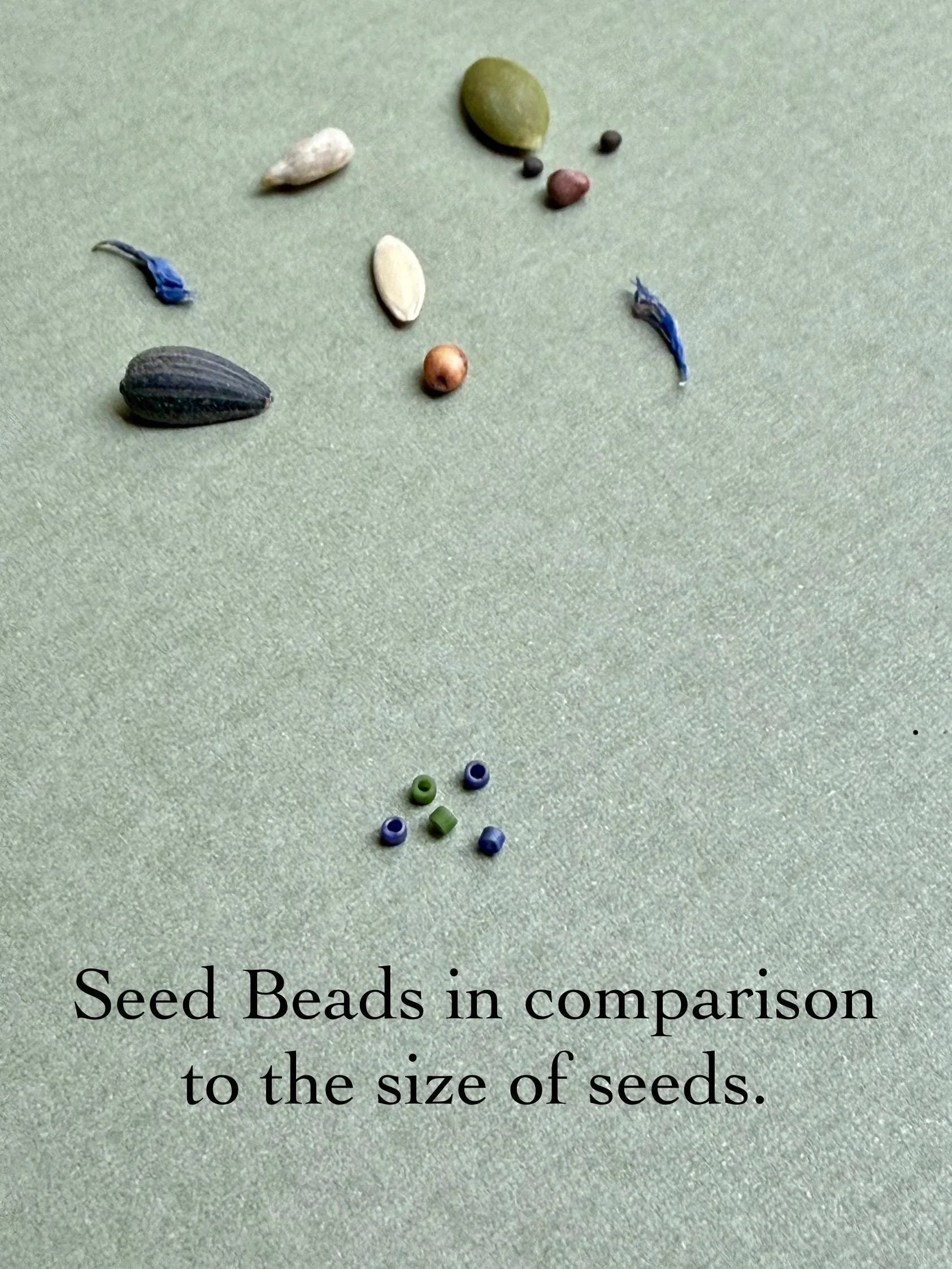 Assorted natural seeds and small glass seed beads on matte surface, seed bead size comparison.