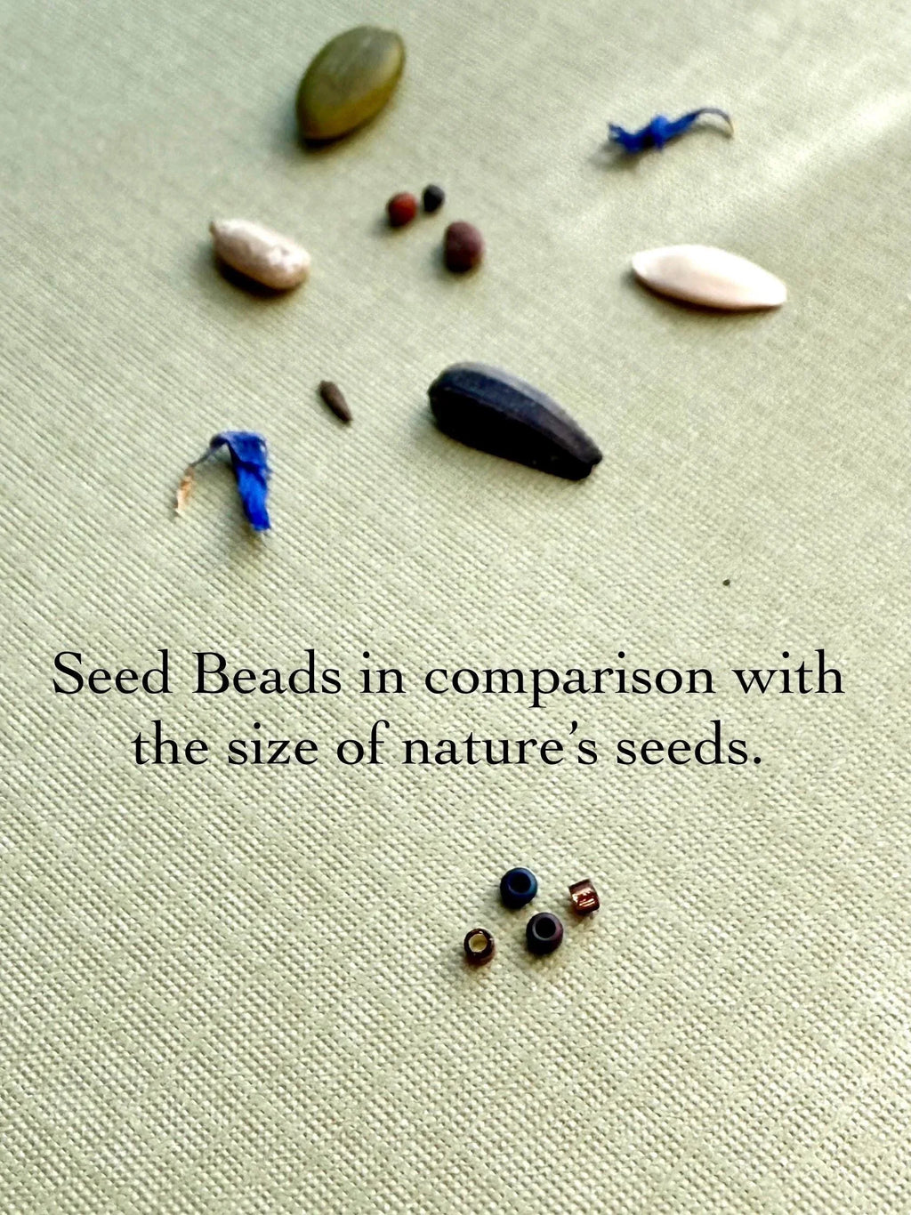 Seed and Soul handmade glass seed beads and natural seeds on textured fabric background