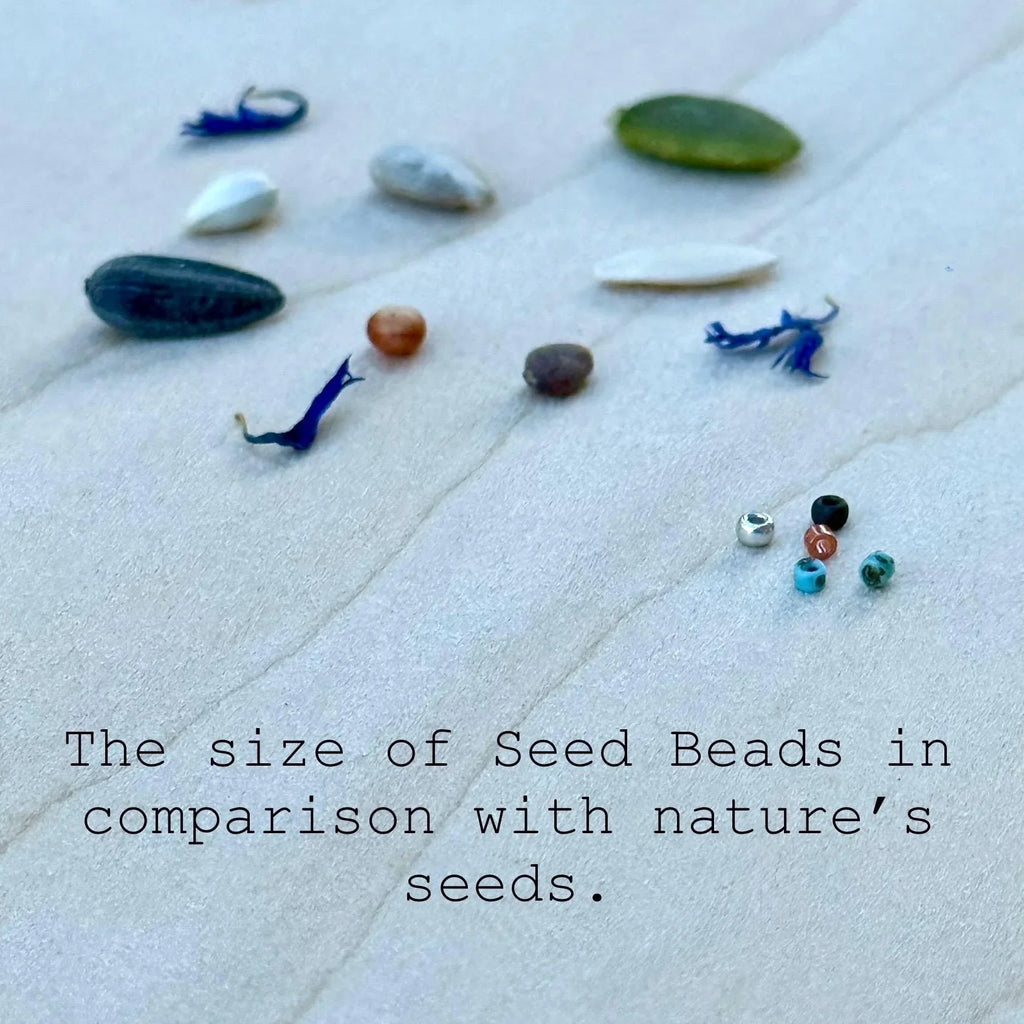 Glass seed beads and natural seeds displayed on a light surface for size comparison, Seed and Soul artistry handmade jewelry.